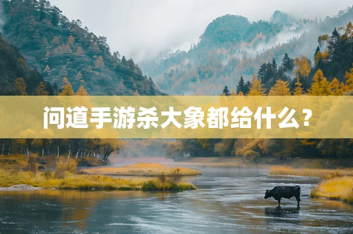 问道手游杀大象都给什么？