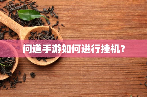 问道手游如何进行挂机？