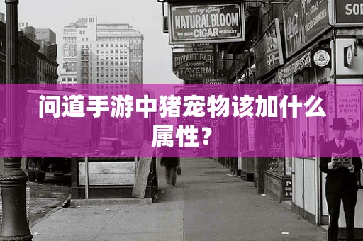 问道手游中猪宠物该加什么属性？