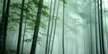 天刀手游镖师究竟是什么？