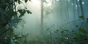 黎明手游为什么进不去？这些原因你知道吗？