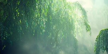 逆水寒手游中柳茵茵到底要什么？