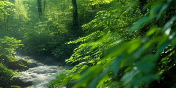 无敌水豚手游究竟叫什么？